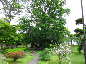 三樹園 三樹園